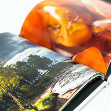 Glancēta žurnāla atvērums - kreisajā pusē krastmala ar kokiem noaugušu krastu, labajā - dzintars